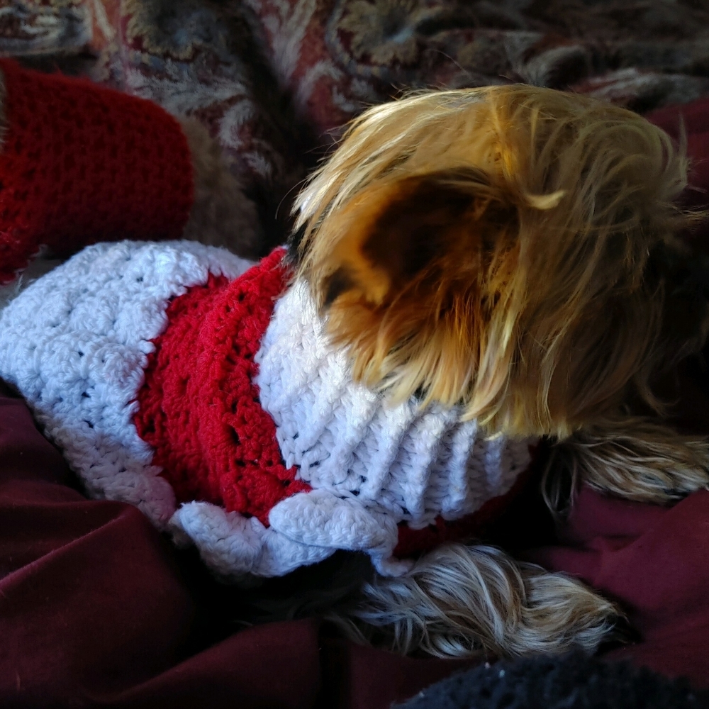 Adorable pet attire for the holidays